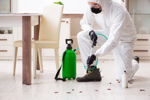 Désinsectisation écologique quelles sont les solutions durables
