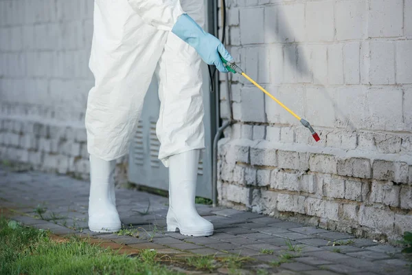 Désinsectisation des chambres d’hôtel comment prévenir les infestations