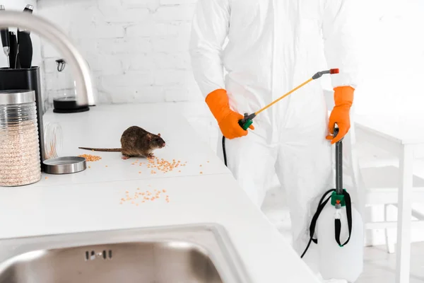 Les étapes à suivre pour une désinsectisation réussie et durable