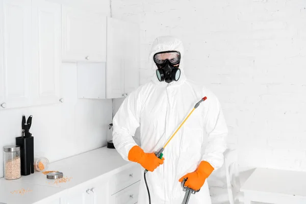 Désinsectisation contre les puces quelles sont les solutions durables