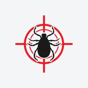 Comment bien choisir un traitement insecticide pour la désinsectisation