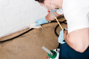 Désinsectisation tout ce qu’il faut savoir pour se débarrasser des insectes