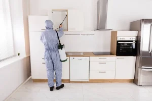 Les avantages de la désinsectisation écologique pour votre maison
