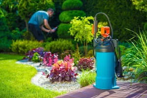 Désinsectisation des espaces publics comment garantir un environnement sain