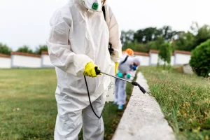 Désinsectisation pour les hôtels de luxe comment garantir un service irréprochable