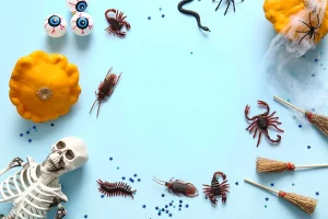 Comment se débarrasser des tiques grâce à la désinsectisation
