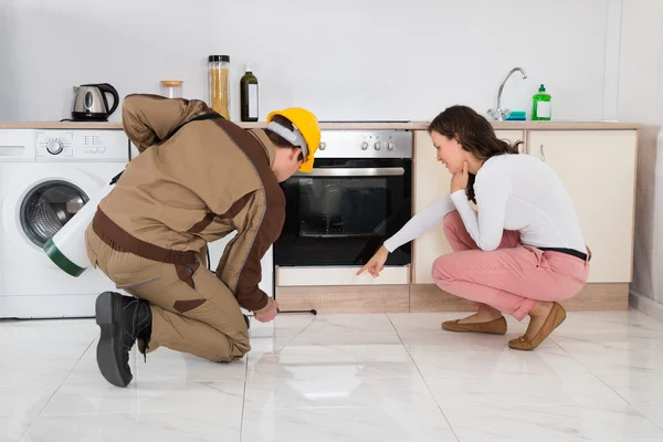 Désinsectisation et prévention comment éviter les réinfestations