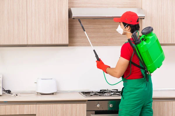Les meilleures astuces pour éviter une nouvelle infestation après une désinsectisation