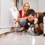 Comment éliminer les mouches et moucherons grâce à la désinsectisation