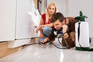 Comment éliminer les mouches et moucherons grâce à la désinsectisation